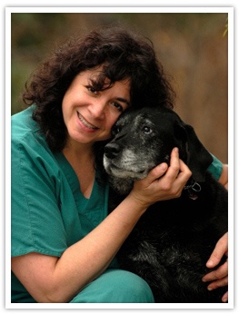 Dog Cataract Surgery Atlanta – The Safe Alternative?